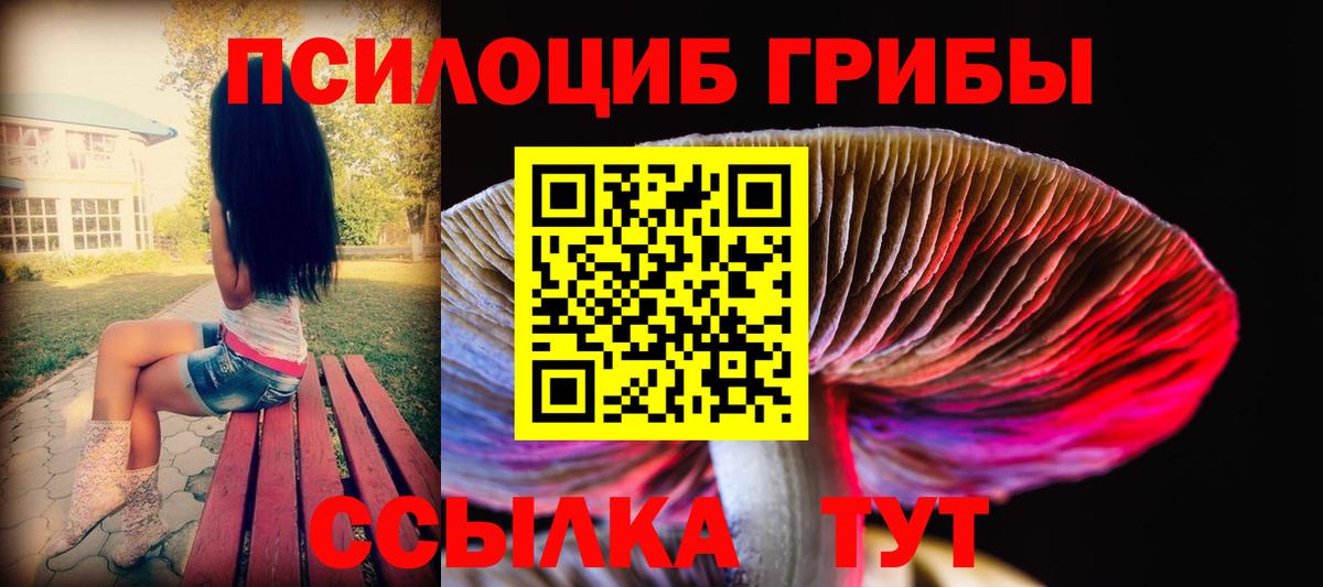 Галлюциногенные грибы Psilocybe  Вход с VPN  как найти закладки  Нефтеюганск 