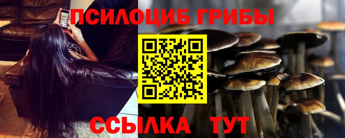 Псилоцибиновые грибы мицелий Нефтеюганск